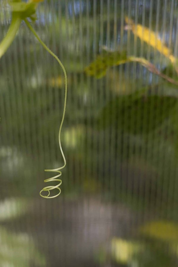 Comment adapter une moto pour les trajets quotidiens en milieu rural ?